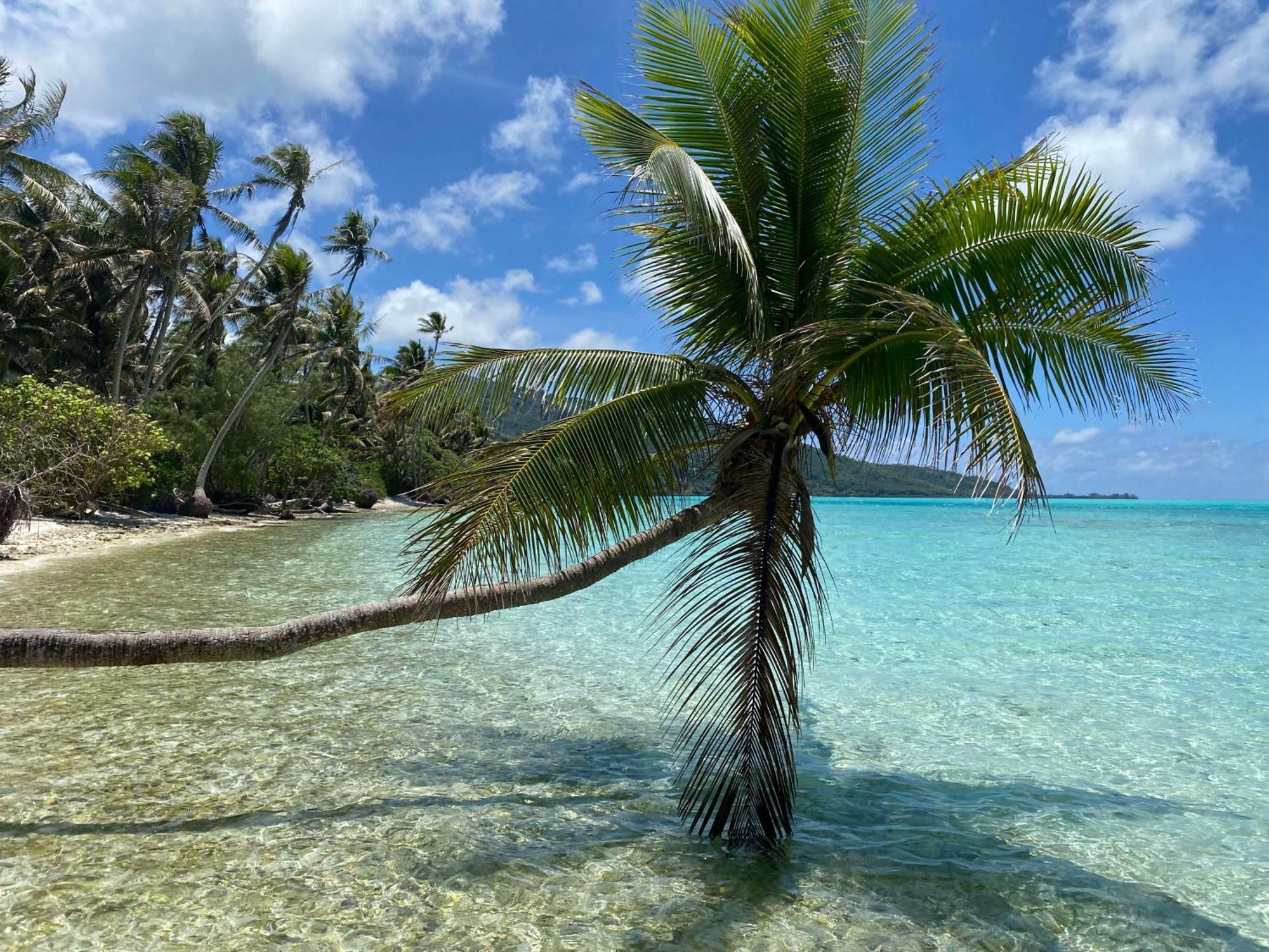 Mahana Tua Lodge Huahine Fare Exterior foto